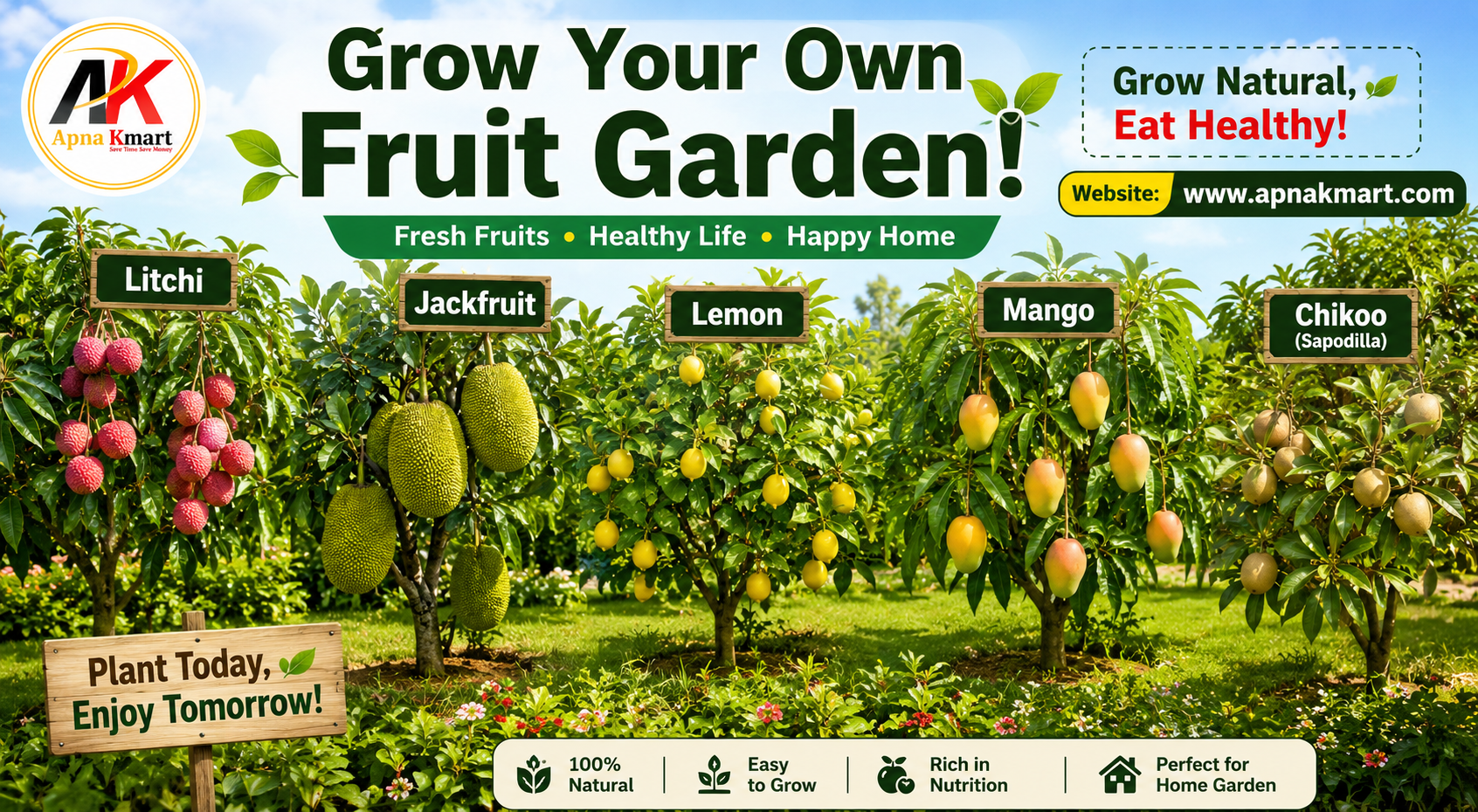 Best Fruit Trees to Grow in India for Home Gardens