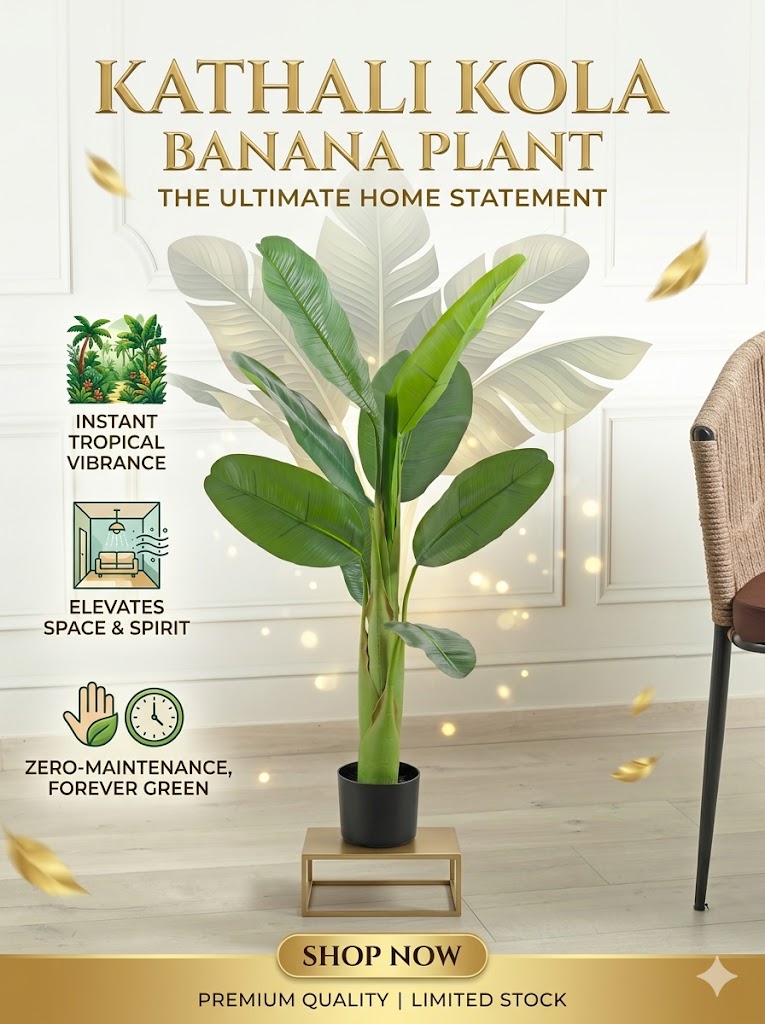 Kathali Kola (Banana) Plant | Premium Live Banana Plant | Sweet & Aromatic Fruit Variety | High Yield Fruit Plant for Home Garden & Farm